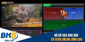 đá gà cựa dao bk8