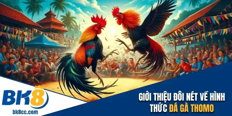 Đôi nét về đá gà Thomo tại nhà cái