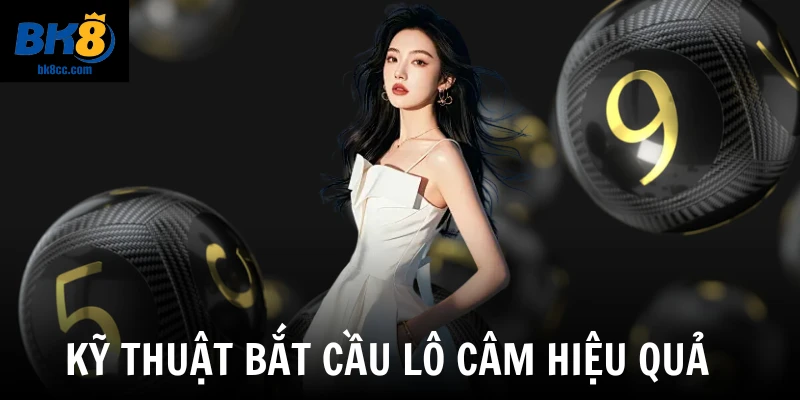 Kỹ thuật bắt cầu lô câm hiệu quả của nhà cái